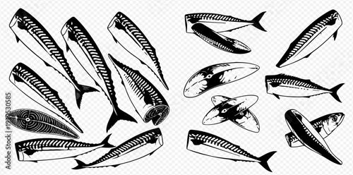 Set of various hand-drawn mackerel fish illustrations, whole and filleted, in a vintage style on a transparent background.