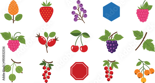 Fresh Berries and Wild Fruit Collection Vector Illustration Set with Strawberry Raspberry Blueberry Cherry Gooseberry and Currant Icons