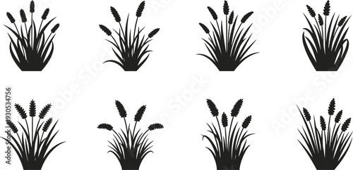 Collection of black silhouettes of various grasses and reeds on a white background