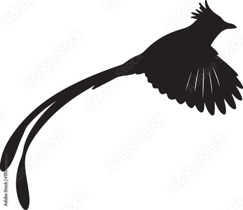 Asian Paradise silhouette on white background.