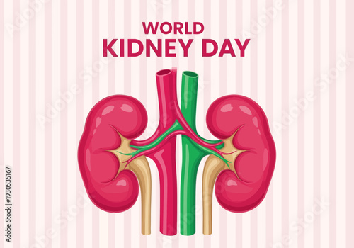World kidney day illustration with human kidneys and vessels