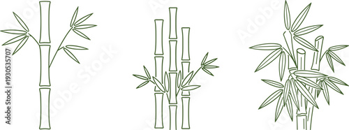Simple line art illustrations of bamboo stalks with leaves on a white background