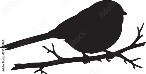 Long-tailed Tit in silhouette on white background.