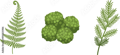 Collection of green botanical elements including a fern frond, moss, and a sprig