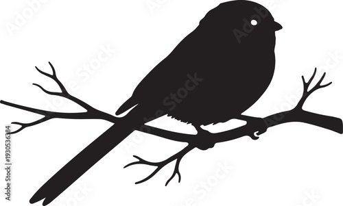 Long-tailed Tit in silhouette on white background.