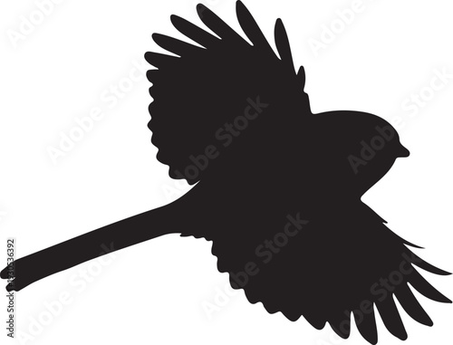 Long-tailed Tit in silhouette..