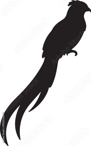 Resplendent Quetzal in silhouette on white background. 