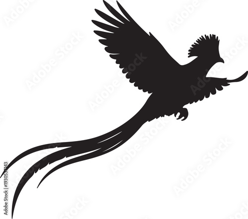  Resplendent Quetzal in silhouette on white background.