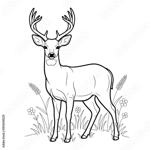 Majestic Stag Deer with Grand Antlers Standing in a Serene Meadow Line Art for Coloring Activity – Detailed Wildlife Outline Illustration for Nature Enthusiasts and Creative Projects