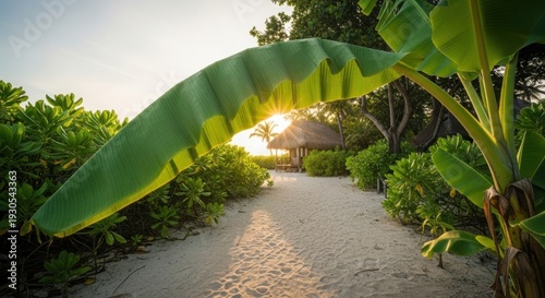 A serene path through lush greenery and tropical sunlight.