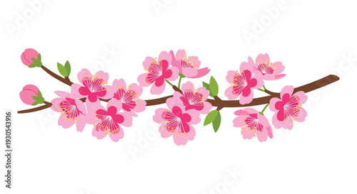 A delicate branch adorned with vibrant pink blossoms creates a beautiful floral arrangement a striking silhouette high quality professional detailed modern