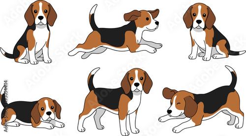 Beagle dog cartoon poses set showing sitting, running, playing and standing positions in cute vector illustration isolated on light background for pet design