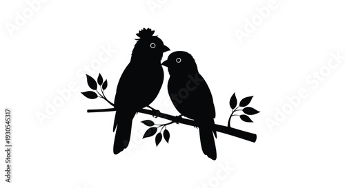 Two cardinals perch closely together on a branch creating a striking dark form silhouette high quality professional detailed modern elegant stylish