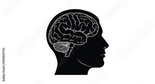 A striking profile view of a human head containing a detailed brain illustration presented as a silhouette high quality professional modern
