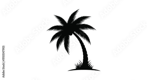 A striking black silhouette of a leaning palm tree against a bright white background evoking tropical vibes silhouette high quality professional
