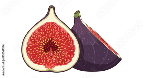 A vibrant illustration depicts a halved fig and a whole one showcasing their textured interiors and purple skin silhouette high quality