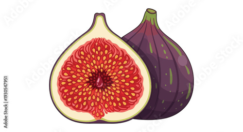 A vibrant illustration depicts two figs one halved showcasing its internal texture a striking silhouette high quality professional detailed modern elegant