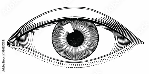Detailed illustration of a human eye with intricate line work