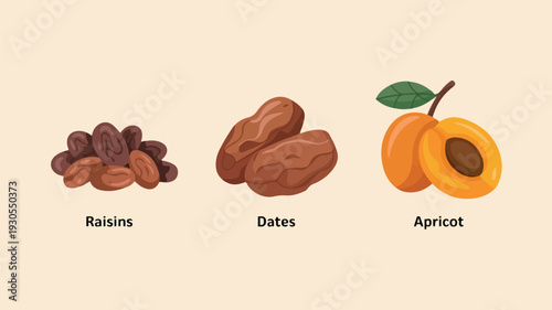 Set of isolated raisins dates and apricot illustrations on beige background for food design