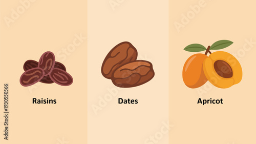Minimalist dried fruit icons representing raisins dates and apricot for healthy eating plan