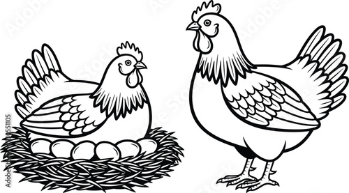 Hen and Rooster Farm Poultry Line Art Vector Illustration Chicken with Eggs in Nest Isolated on White Background