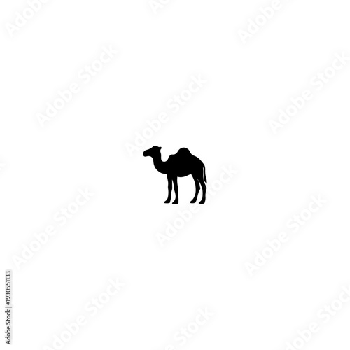Black Silhouette Of A Dromedary Camel Standing On White Background