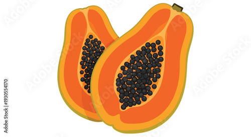 A vibrant illustration of two papaya halves displaying black seeds presented in a distinct silhouette high quality professional detailed modern elegant