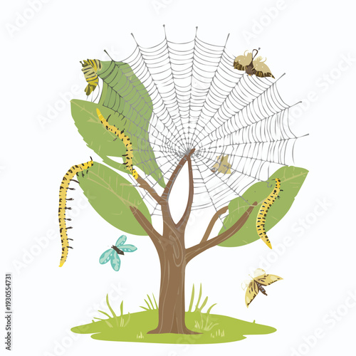 Cartoon spiderweb tree with insects and caterpillars