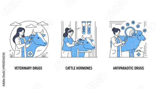 Veterinarian examines cow in clinic with medical equipment and drugs nearby for treatment