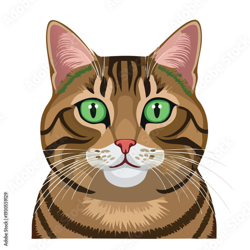 Close up of a domestic cat with vibrant green eyes and detailed markings