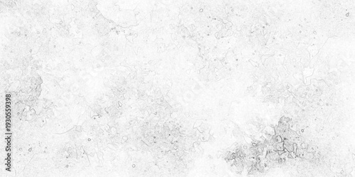 Light gray grunge seamless marble texture with soft white veining and subtle crack, realistic natural stone surface, smooth polished background. gray painted cement wall texture. white marble texture.