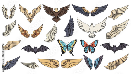 Collection of various wing illustrations, including birds and insects, in different styles and colors