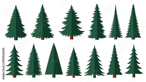 Collection of various evergreen trees illustrations from different viewpoints displayed together