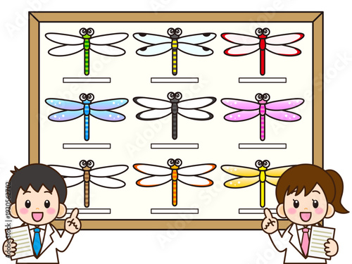 	トンボの標本と白衣の子どものイラスト素材