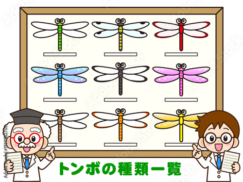 トンボの標本の説明をする博士と助手のイラスト素材