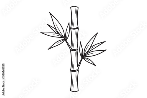 Minimalist line art illustration of a bamboo stalk with leaves