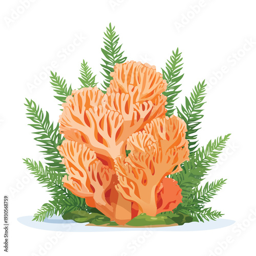 Coral illustration with green plants aquatic sea life concept