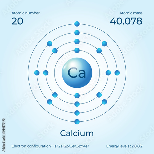 Scientifically accurate 2026 Calcium Bohr model for biology infographics showing 20 protons and essential mineral shell arrangement.