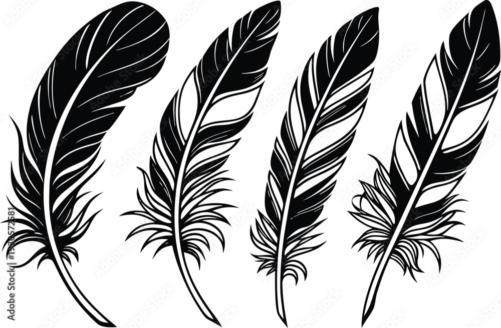 Obraz premium Black and white of four feathers bird quill
