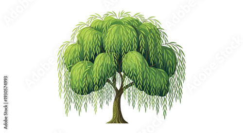 A vibrant stylized illustration of a weeping willow tree with cascading foliage presented as a silhouette high quality professional detailed modern
