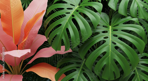 Close-up of foliage: green monstera and colorful banana leaf, creating a tropical vibe, showcasing natural beauty and freshness, ideal for organic concepts