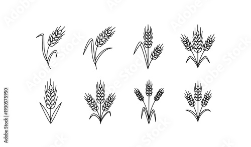 Thin Line Wheat Icon Set for Agriculture and Nature Vector Design