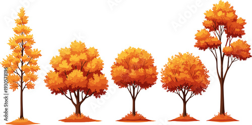 Autumn trees collection, orange fall foliage vector illustration isolated seasonal forest nature design element set decoration