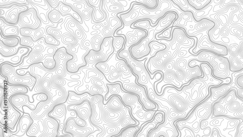 Topography background. Vector banner. Topography map background. Vector geographic contour map. Background of the topographic map. Topographic map lines, contour background. 