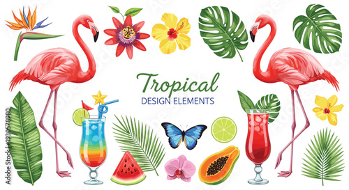 Tropical animals vector set with pink flamingos toucan parrot and jungle wildlife characters isolated on white background