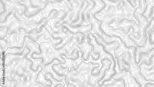 Abstract topographic map contour, white background and black wave lines pattern texture. geographic contour map grid backdrop paper texture. terrain path isolated on a background.	