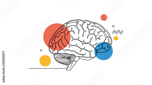 Continuous line drawing of a human brain surrounded by colorful circles and geometric shapes depicting various cognitive functions.