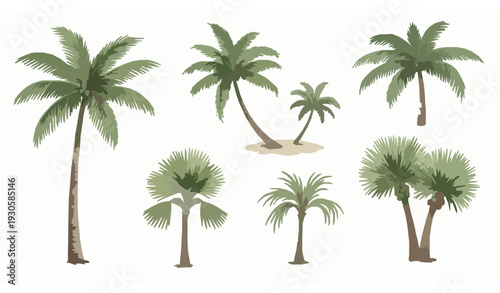 Realistic Watercolor Palm Trees Botanical Vector Collection Isolated on White