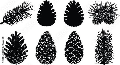 Hand drawn black silhouette vector set of various pine cones and evergreen conifer branches for winter nature and holiday decoration designs