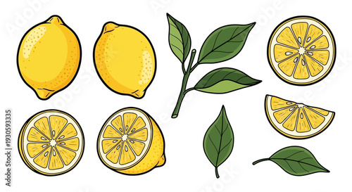 lemon fruit slices and leaves illustration, healthy food